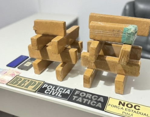 Polícia apreende 15 tabletes de maconha durante operação em Picos