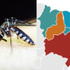 Piauí é o segundo estado do nordeste em número de mortes por dengue em 2024