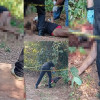 Corpo de mulher ensanguentado é encontrado no Norte do Piauí