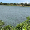 Corpo é encontrado boiando em lagoa e Polícia Civil investiga morte em Parnaíba