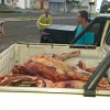 Vigilância Sanitária apreende 230 kg de carne sem inspeção em Teresina