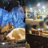 Grupo é interceptado com animais furtados na zona rural de José de Freitas