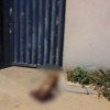 Ataque a tiros deixa dois feridos e cachorro morto na Zona Norte de Teresina
