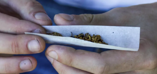 Maconha para uso pessoal é descriminalizada pelo STF