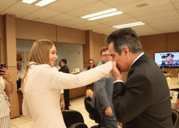 Mais um apoio de emedebista a Ciro expõe dificuldade de Júlio César na base governista