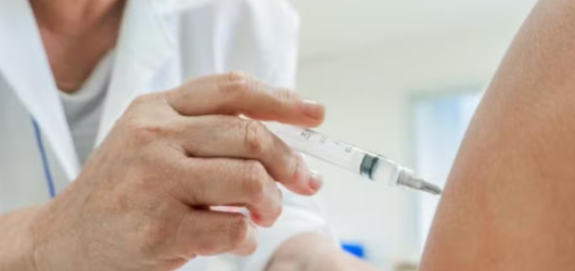 Anvisa autoriza vacina do Butantan e país terá imunização de dose única contra dengue