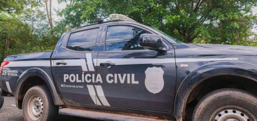 Seis suspeitos são presos após dupla execução brutal no litoral do Piauí