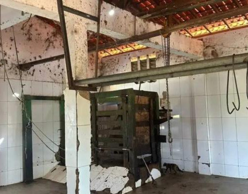 Justiça manda fechar matadouro no Piauí após flagrante de sujeira e urubus