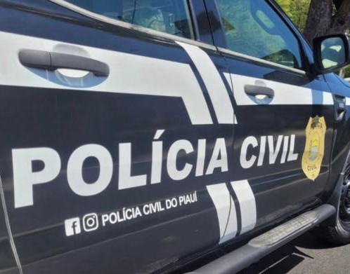 Investigação sobre intimidação a autoridade termina com prisão em Parnaíba