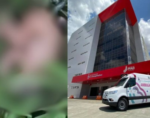 Recém-nascida encontrada em matagal morre na maternidade Evangelina Rosa em Teresina