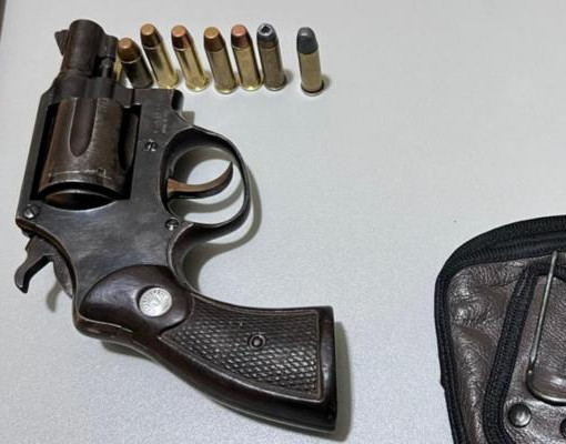 Polícia apreende arma e desarticula quadrilha em ação em Alto Longá