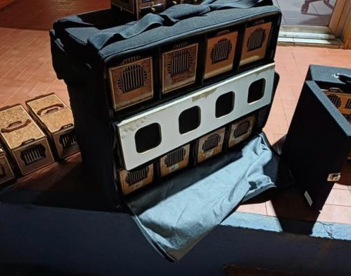 PRF apreende aves silvestres transportadas irregularmente em Picos