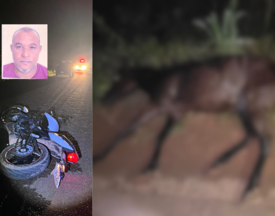 Motociclista morre após colidir com cavalo solto na PI-115, em José de Freitas