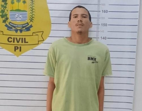 Suspeito confessa morte de idosa após briga por dinheiro em Parnaíba