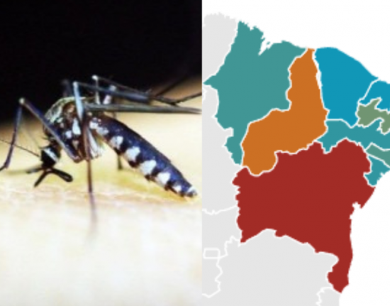 Piauí é o segundo estado do nordeste em número de mortes por dengue em 2024