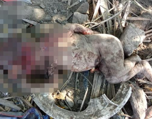 Corpo de bebê é encontrado sem cabeça em área abandonada em Porto do Piauí