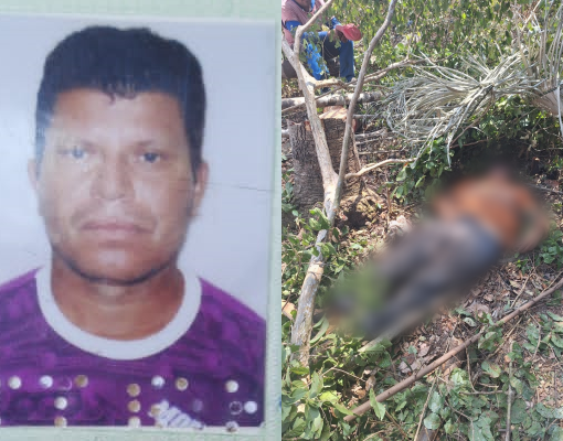 Trabalhador rural morre esmagado por árvore durante desmatamento em Barras