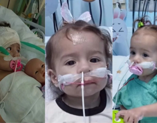 Coração doado em Teresina salva bebê de 1 ano e 8 meses no Ceará