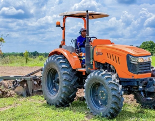 Secretaria de Agricultura recupera três campos agrícolas em José de Freitas