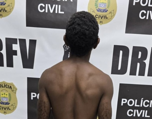 Suspeitos de roubo e furto de veículos são presos em Teresina