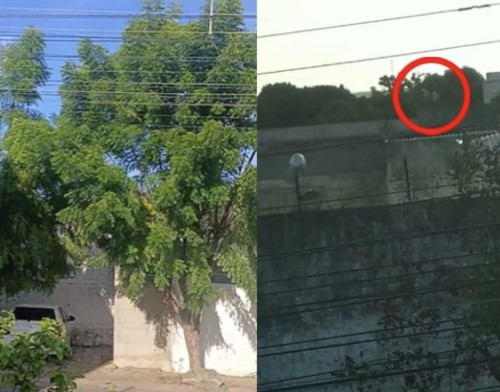 Adolescentes tentam escapar e sobem muro do CEM