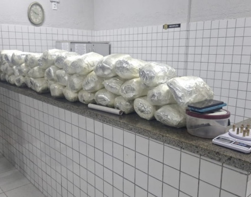 PM estoura depósito de drogas e apreende mais de 29 kg em Parnaíba