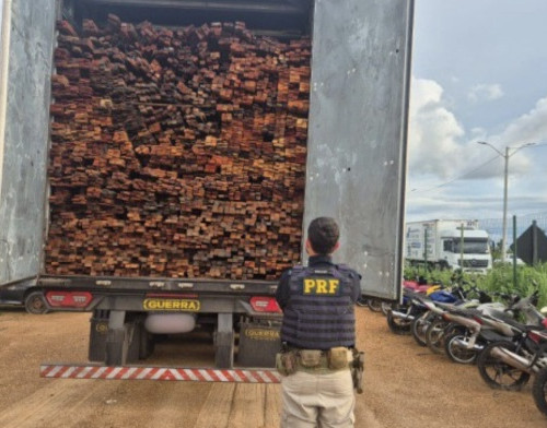 Carga com mais de 69 m³ de madeira é apreendida pela PRF no Piauí