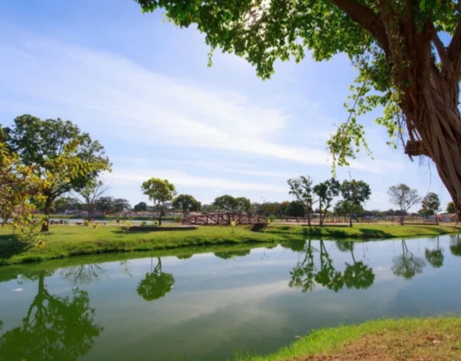 Prefeitura de Teresina anuncia licitação para obras de revitalização no Parque Lagoas do Norte