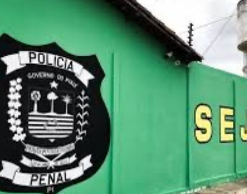 TJ-PI autoriza prisão domiciliar de mulher trans presa presídio masculino