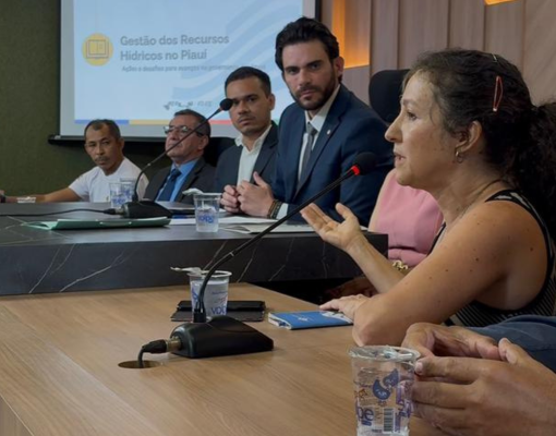 Deputado Dr. Marcus Kalume preside audiência pública sobre gestão de recursos hídricos no Piauí