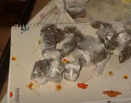 Casal é preso com drogas durante operação policial em Piripiri