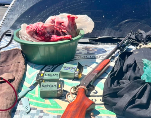 Homem é preso com arma de fogo e caça ilegal em Teresina
