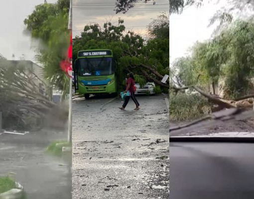 Chuva com ventos de até 75 km/h provoca destruição em Teresina