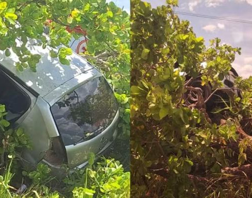 Carro fica pendurado em árvore após motorista passar mal e perder o controle em Piracuruca