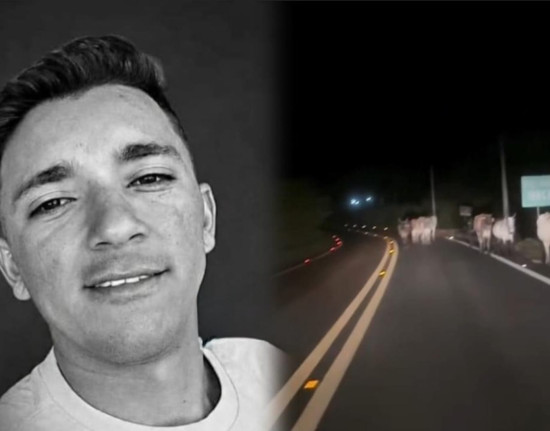 Homem morre em colisão com vaca na BR-222 após sair de festejo no Piauí