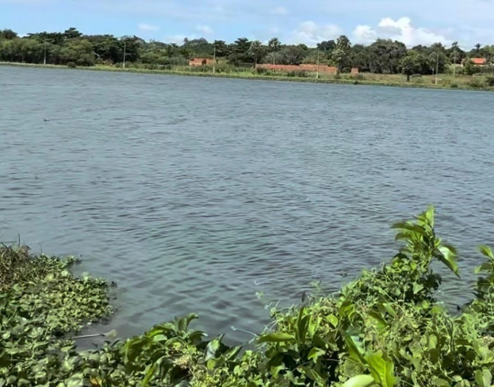 Corpo é encontrado boiando em lagoa e Polícia Civil investiga morte em Parnaíba