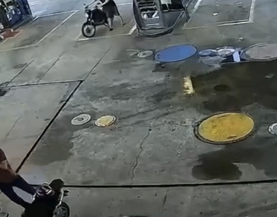 Motorista envolvido em acidente que matou vigilante na BR-343 é identificado