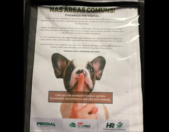 Proibição de alimentar cães e gatos gera indignação em prédio de Teresina