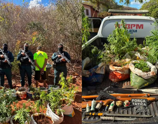 Homem é preso  por manter plantação de maconha em casa na cidade de São Raimundo Nonato