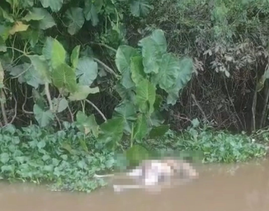 Corpo de homem é encontrado às margens do Rio Poti em Teresina