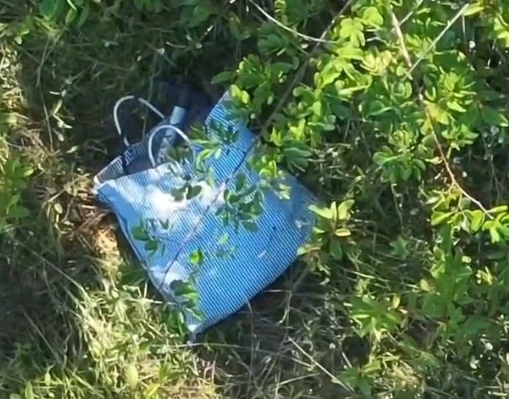 Corpo de idoso desaparecido há oito dias é encontrado em mata de Altos