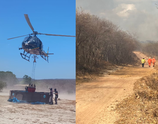 Incêndio florestal de grandes proporções atinge Buriti dos Montes há três dias