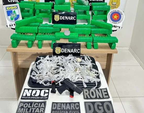 Polícia apreende 100 tabletes de maconha na zona Sul de Teresina