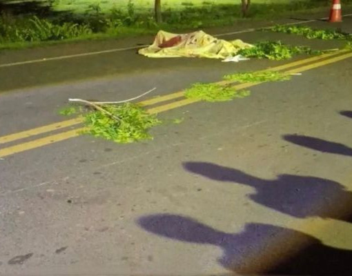 Motociclista morre após colidir com cachorro na PI-112, em União