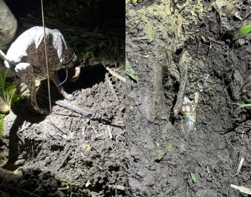 Polícia aponta latrocínio na morte de motorista por app no Piauí