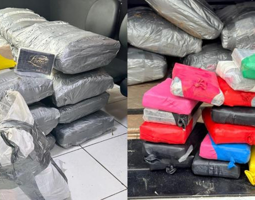 Polícia encontra meia tonelada de cocaína em sítio disfarçado no Maranhão
