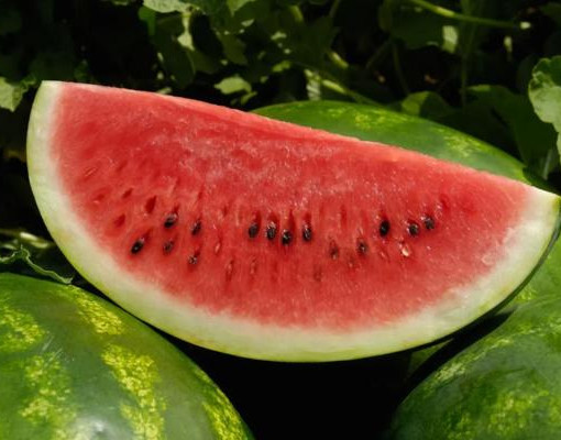 Estudo revela possível gatilho de enxaqueca ligado à melancia