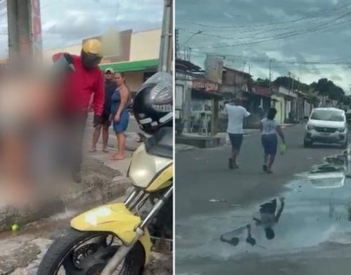 Enxame de abelhas ataca moradores e deixa mulher ferida em Teresina