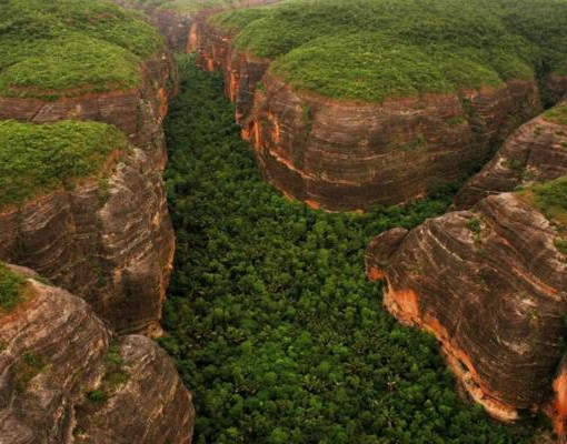 Piauí registra maior queda de desmatamento da Mata Atlântica no país