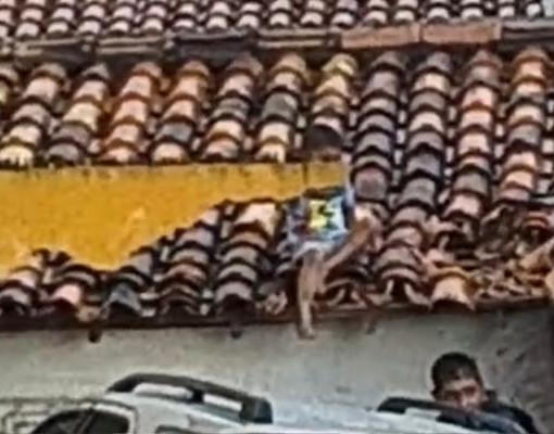 Criança é arremessada no teto de casa durante assalto seguido de perseguição em Piracuruca